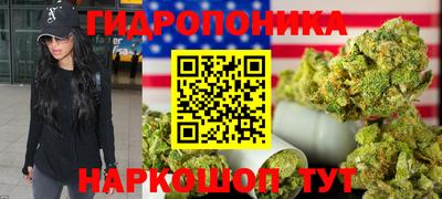 амф Канаш