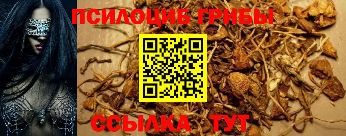 Псилоцибиновые грибы мухоморы  Псилоцибиновые грибы Psilocybe  Вход с VPN  Каменск-Шахтинский 